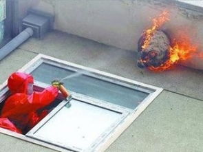 廣州滅馬蜂公司 安全徹底清除殺蜂蟲，兼談保潔清洗服務