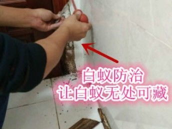 深圳專業保潔與除蟲服務 工廠、商店、展廳的全方位清潔解決方案