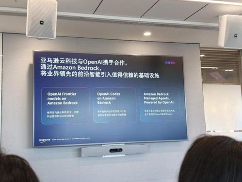 深耕Agentic AI賽道”，亞馬遜云科技如何用產品矩陣重構企業生產力？